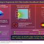 Scientists Create Gas-Free Cooling 70x More Effective - Image 4