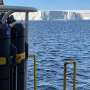 3D-Printed Sea Lion Models Save Real Animals From Toxic Algae - Image 4