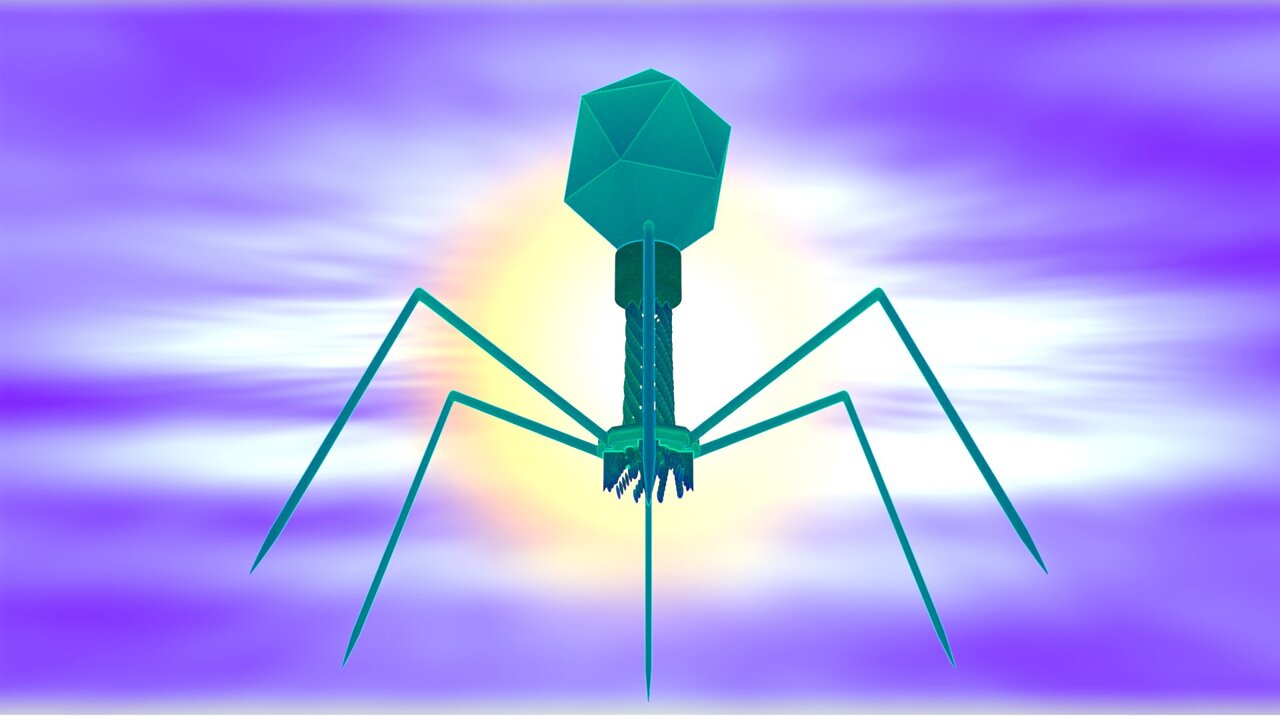 Scientists Fast-Track Designer Viruses to Fight Superbugs - Image 2