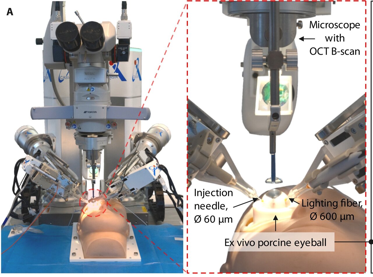 Robot Successfully Performs Delicate Eye Surgery on Pig Eyes - Image 2