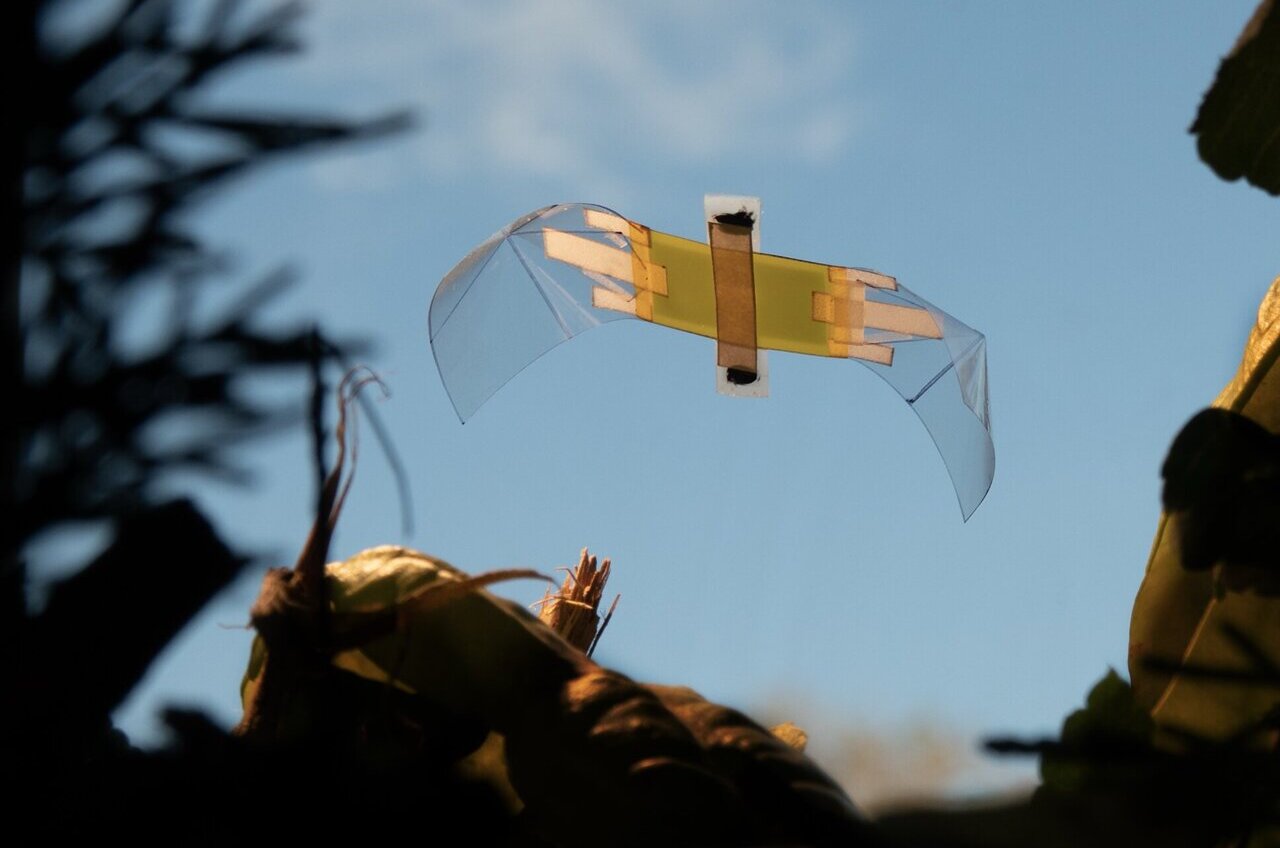 Tiny Flying Robot Survives Being Flattened 11,000 Times - Image 2