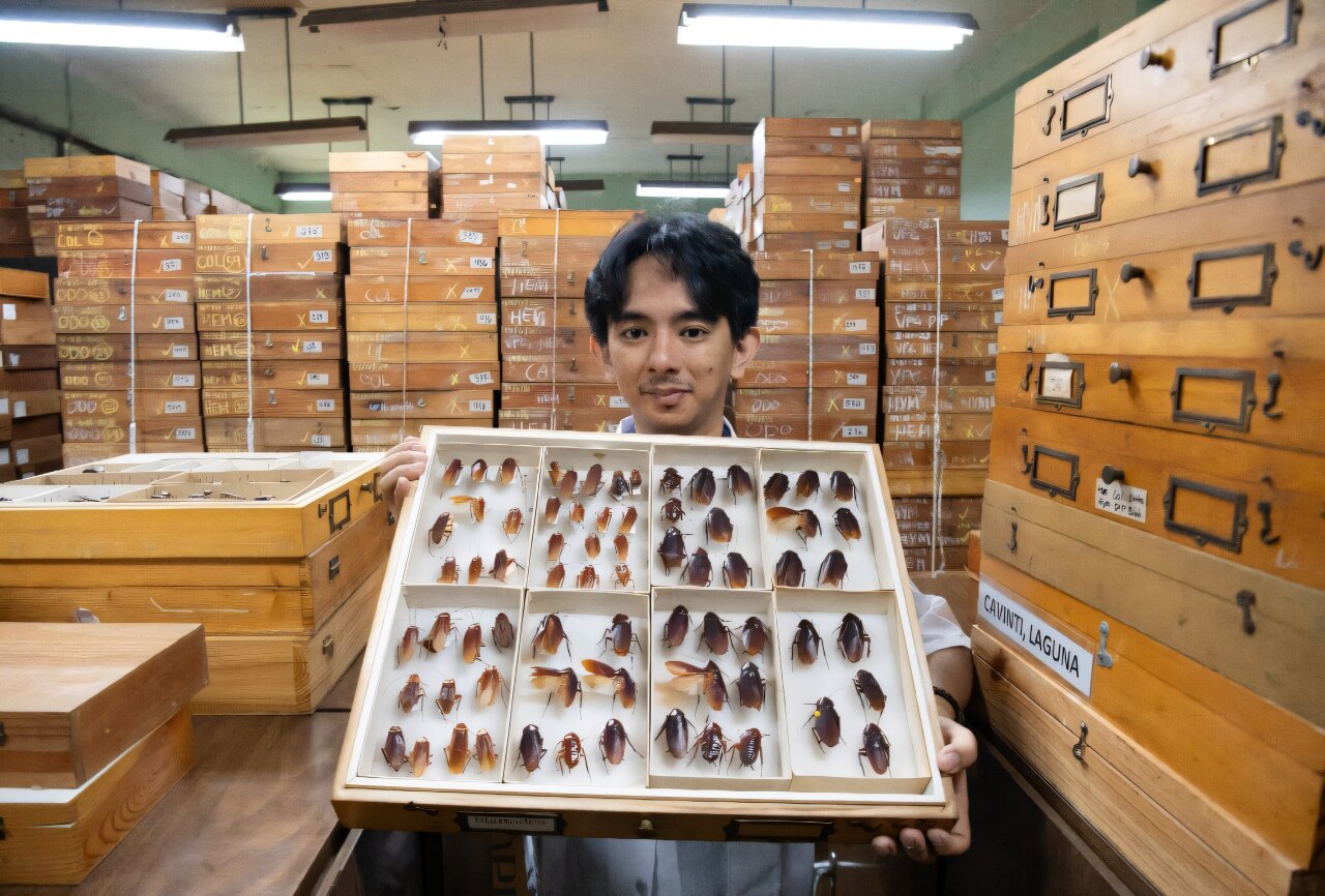 Philippines' 'Cockroach Lord' Discovers 15 New Species