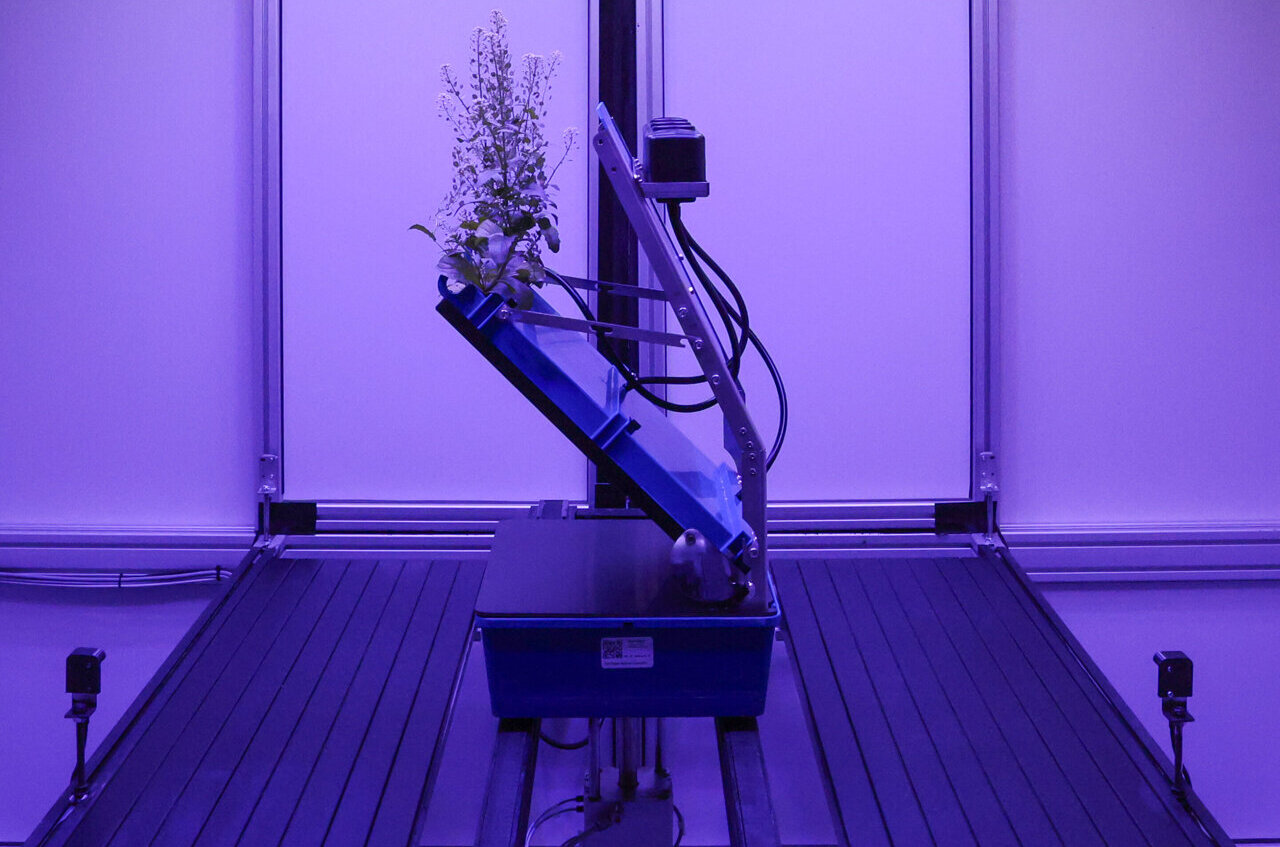Robot Platform Sees Plant Roots Grow in Real Time - Image 2