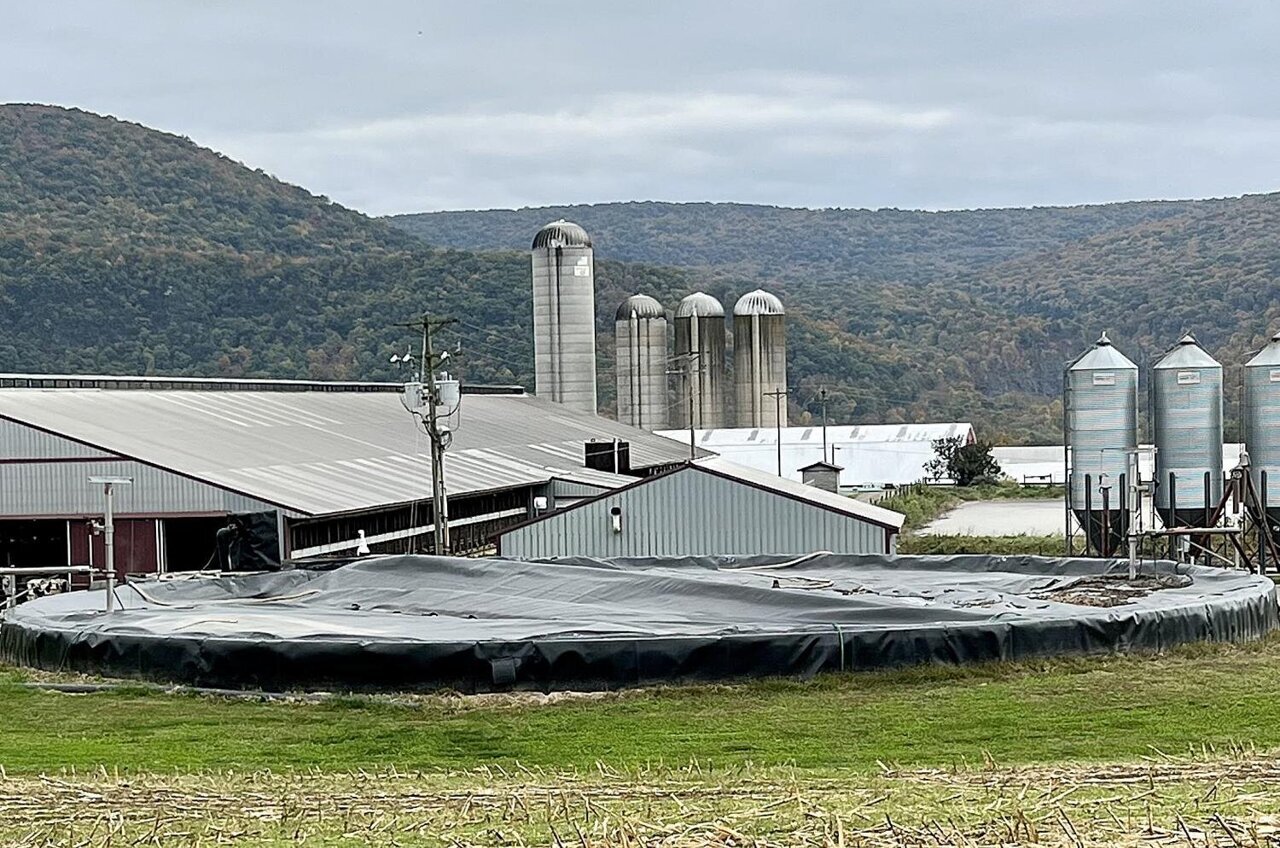 Pennsylvania Dairy Farms Cut Emissions 20% With New System - Image 2
