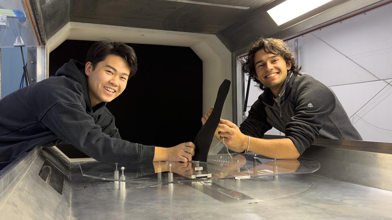3D printed model of hawk wing mounted in UC Davis wind tunnel for aerodynamic testing