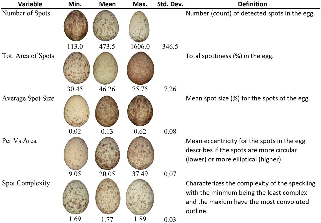 Invasive Sparrows Help Scientists Detect Heavy Metals - Image 2