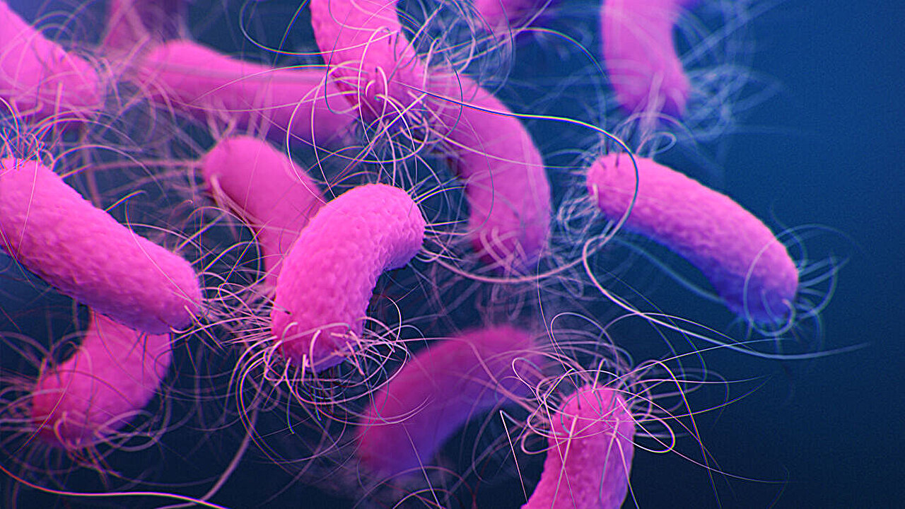Light Could Stop Dangerous Hospital Infections