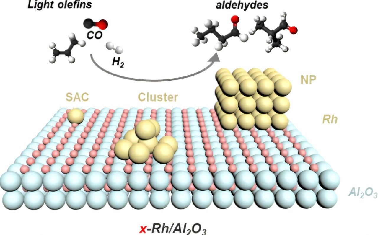 Scientists Find 'Just Right' Size for Reusable Catalysts