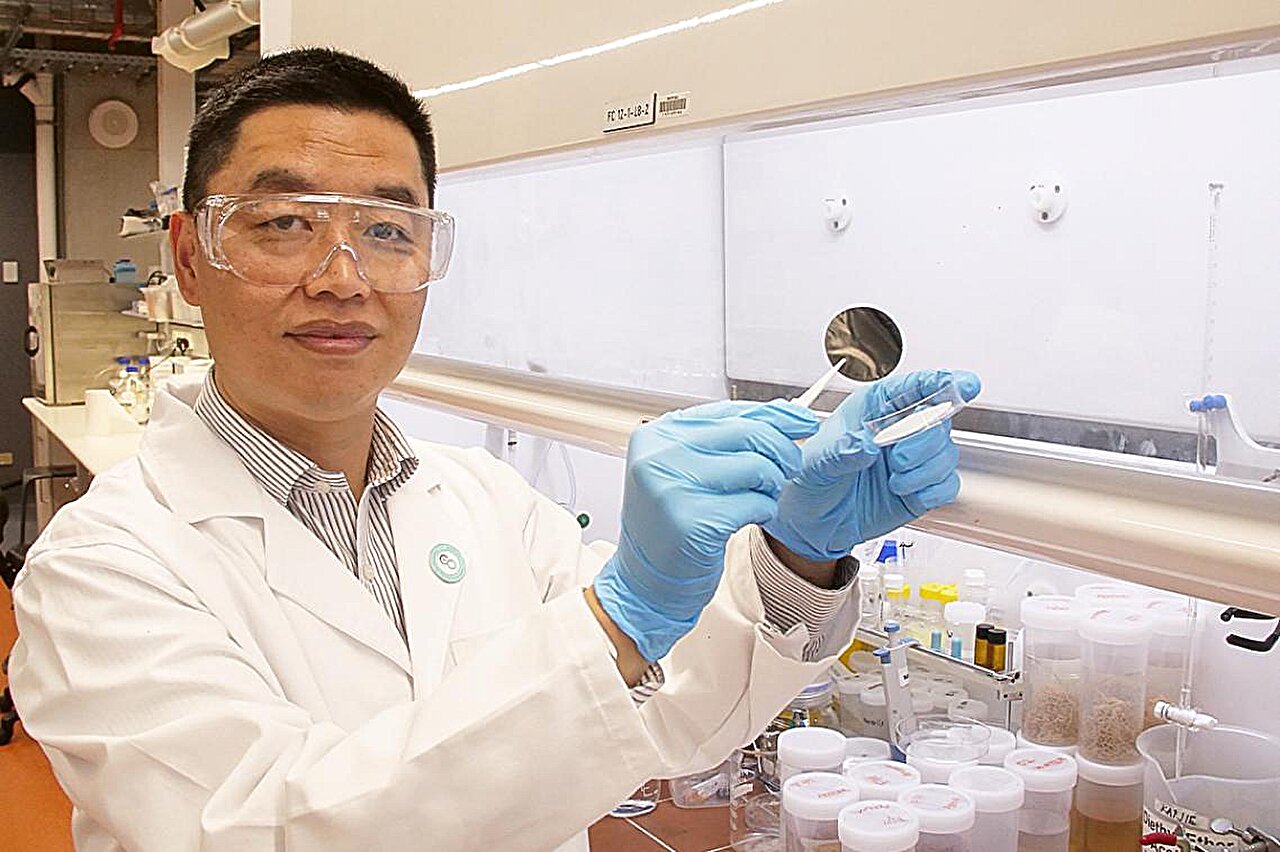 UQ Nano Membrane Boosts Clean Water Speed 44%