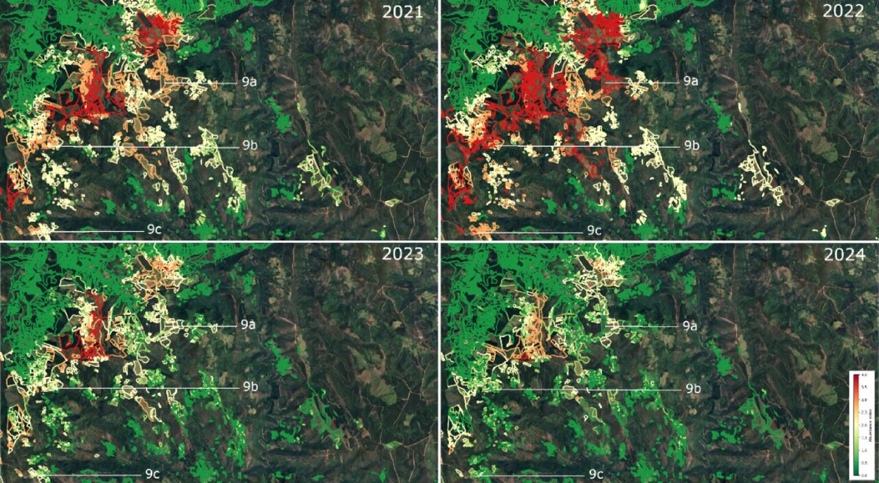 Spanish Satellite System Predicts Farm Vole Outbreaks Early - Image 2