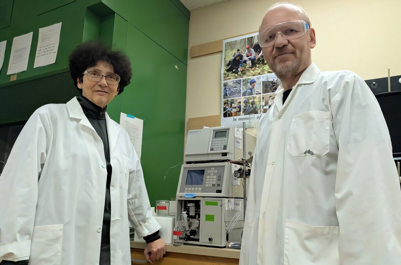Scientists Discover Key to Steady, Healthy Heartbeats
