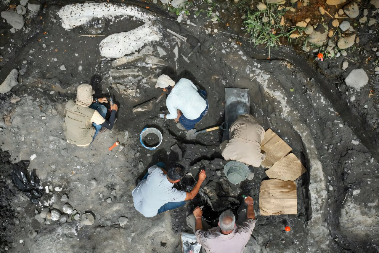 Costa Rica Unearths 40,000-Year-Old Mastodon and Sloth Bones