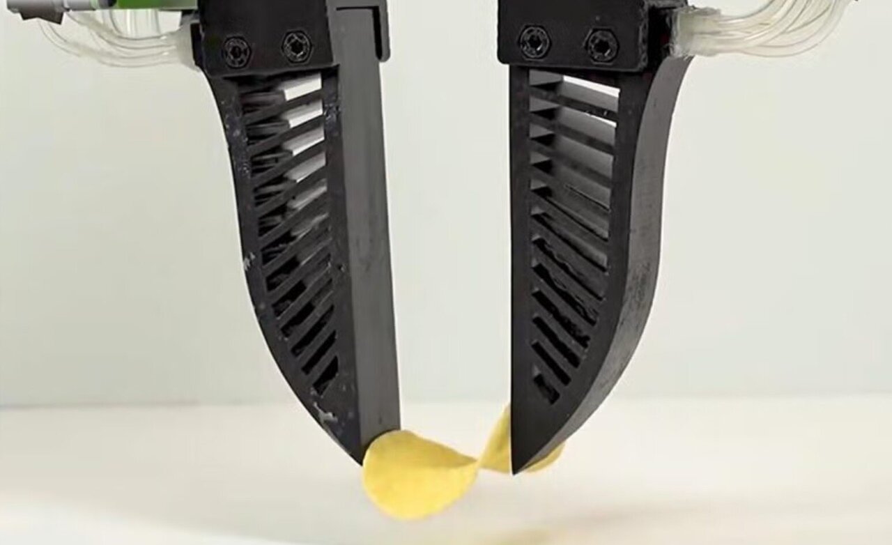 Robot Hand Picks Up Potato Chips Without Breaking Them - Image 2