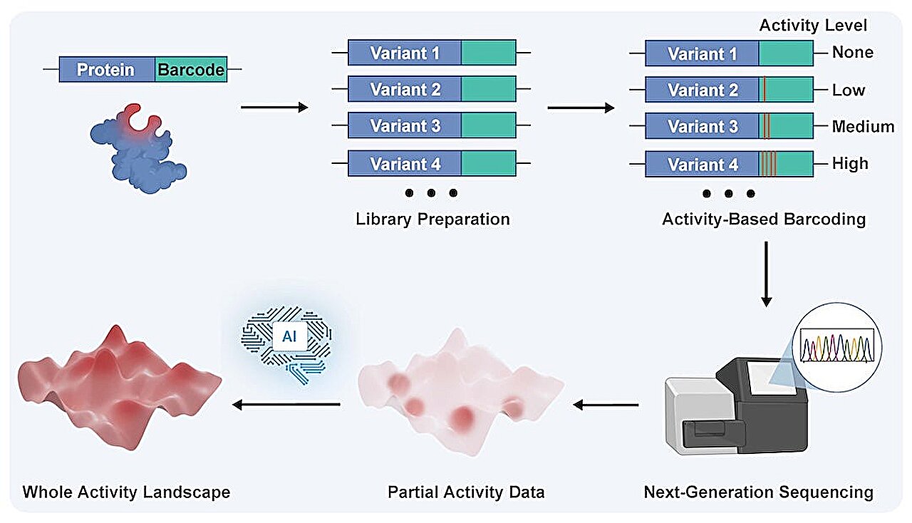Rice Team Generates 10M Protein Data Points in 3 Days