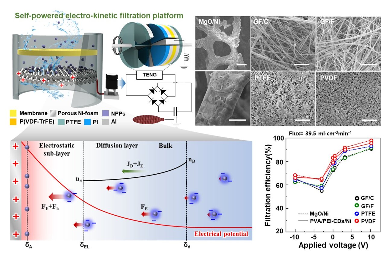 New Filter Removes 99% of Nanoplastics From Drinking Water - Image 2