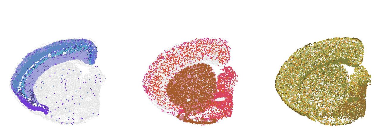 Scientists Map Brain Aging to Fight Dementia - Image 2