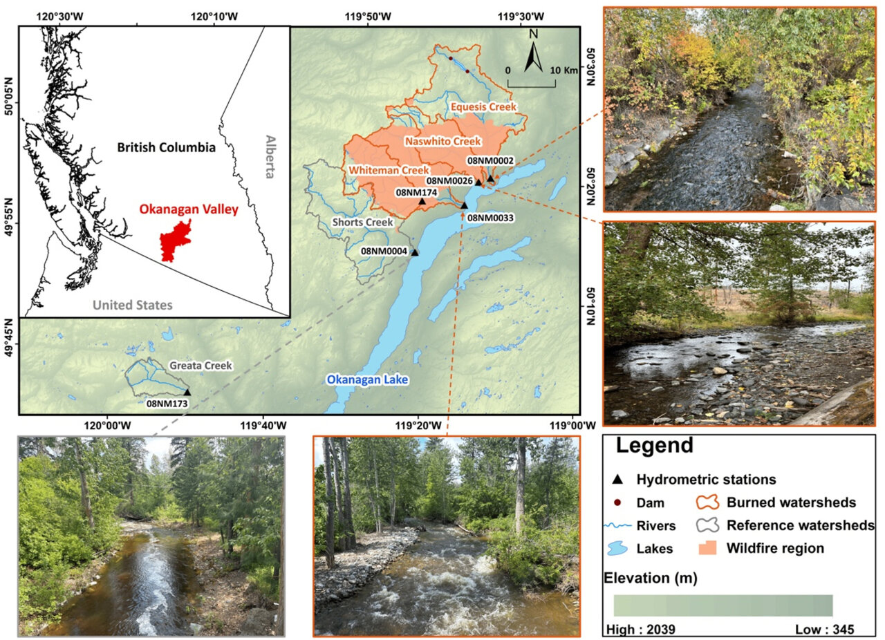 Wildfire Mystery Solved: Why Some Creeks Flow Stronger - Image 2
