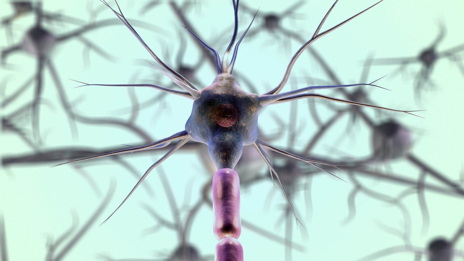 Medical illustration showing nerve pathways connecting to pancreatic tissue under microscope
