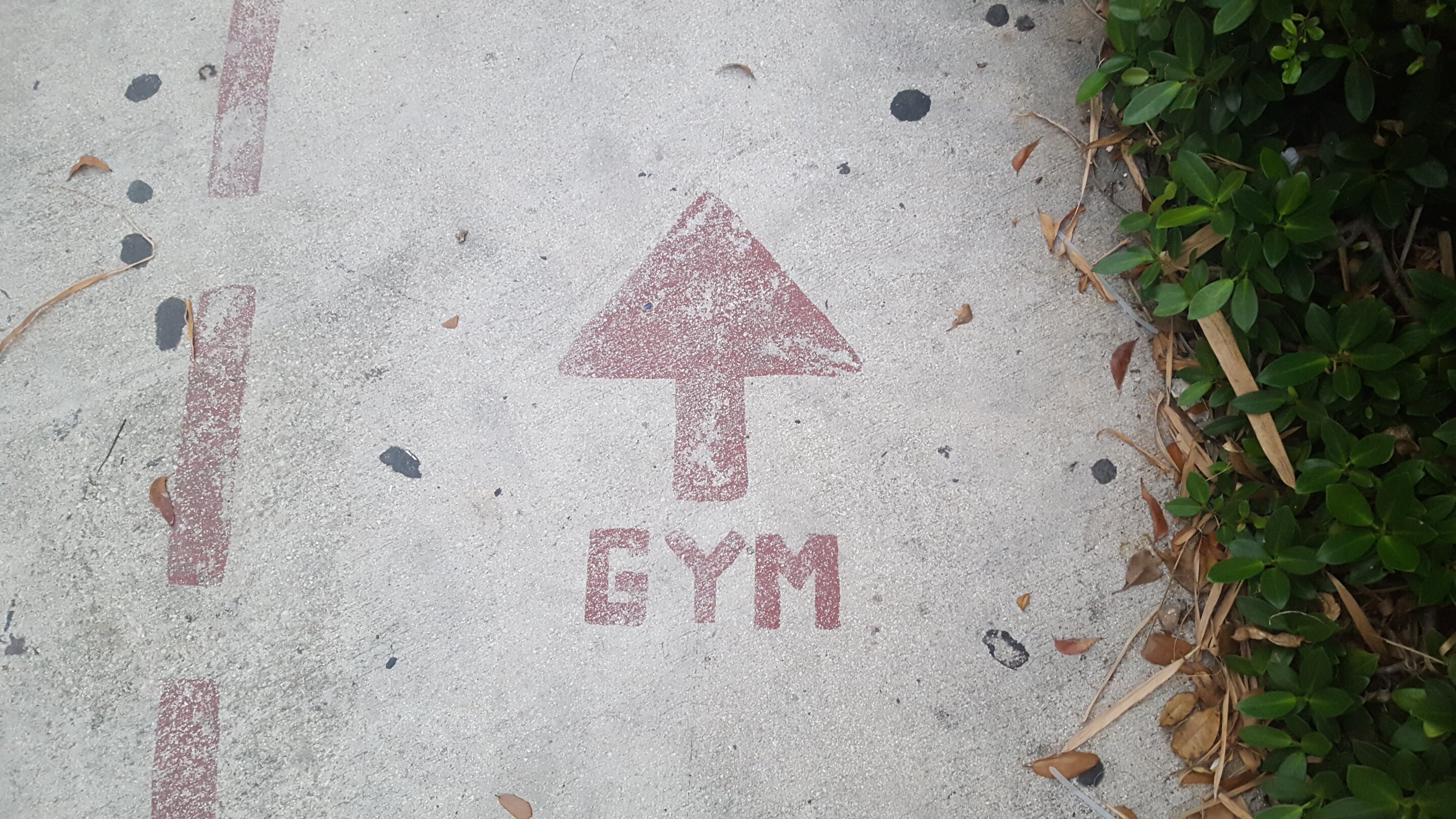 PE Could Transform Kids' Health If Schools Prioritize It