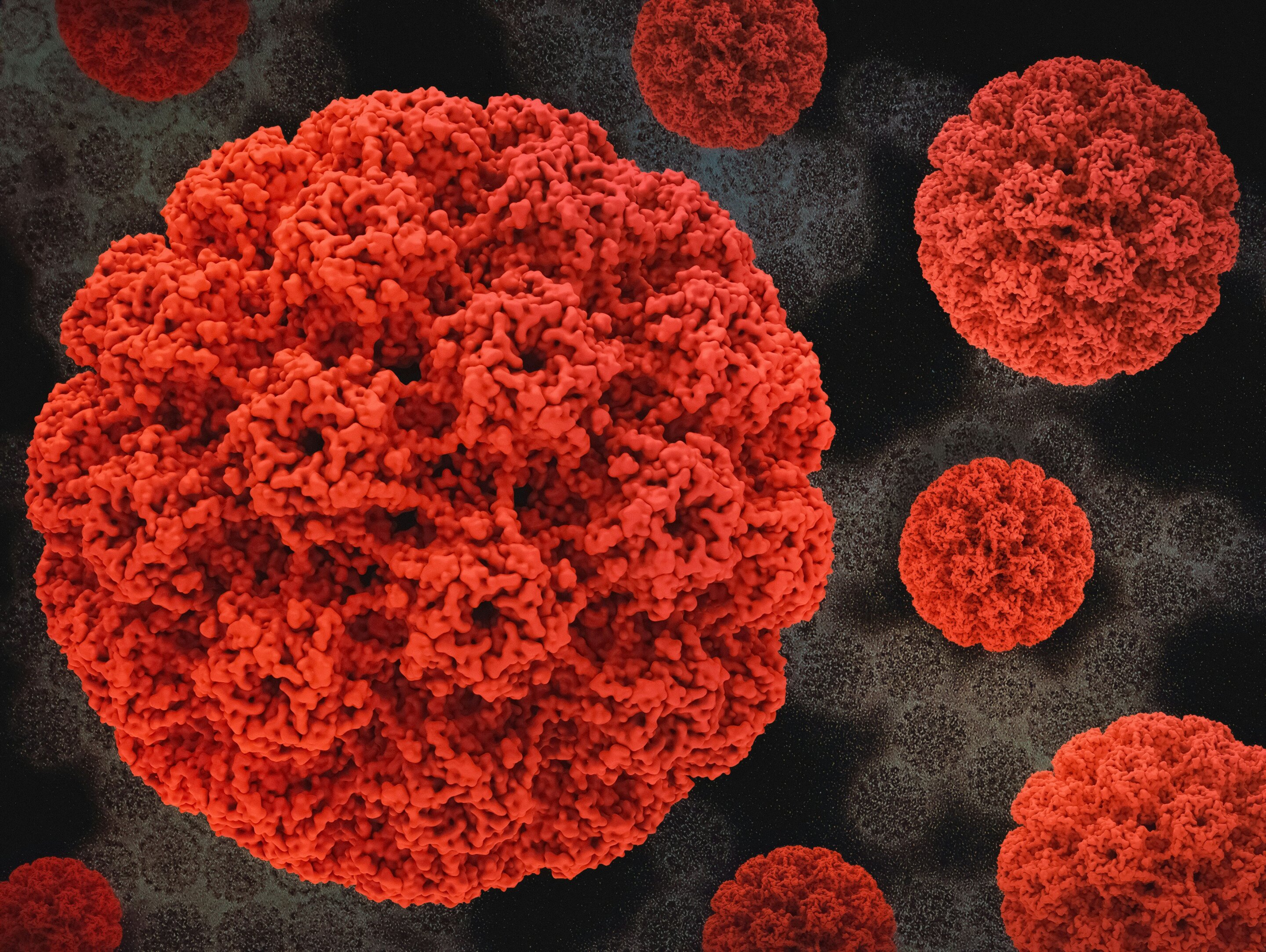 HPV Vaccine Cuts Cervical Cancer Risk 79% After 18 Years