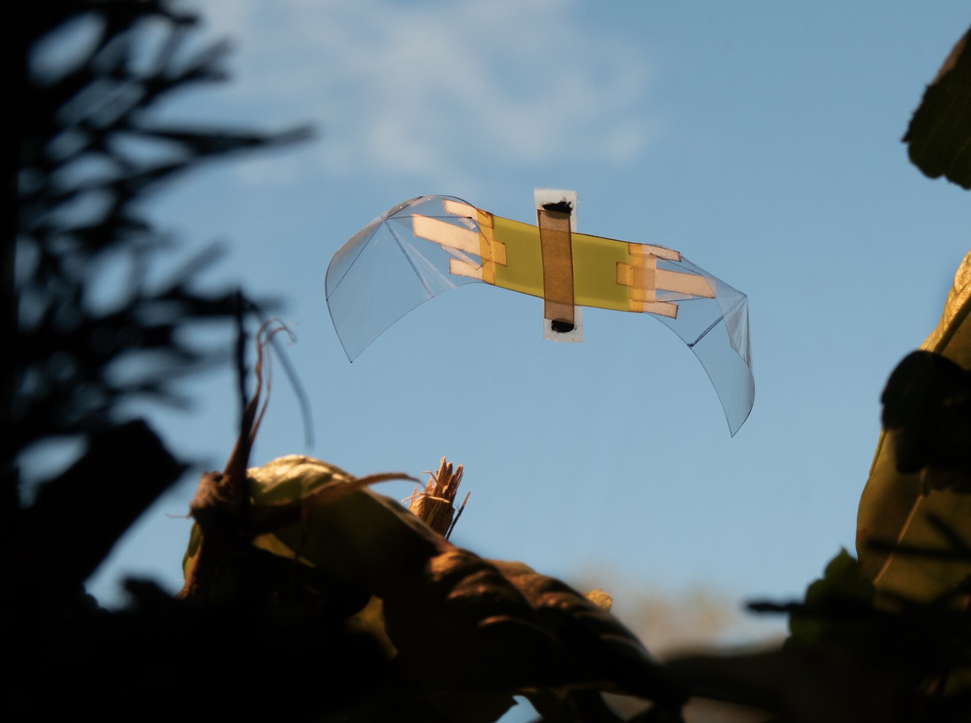 Tiny Flying Robot Survives Being Flattened 11,000 Times
