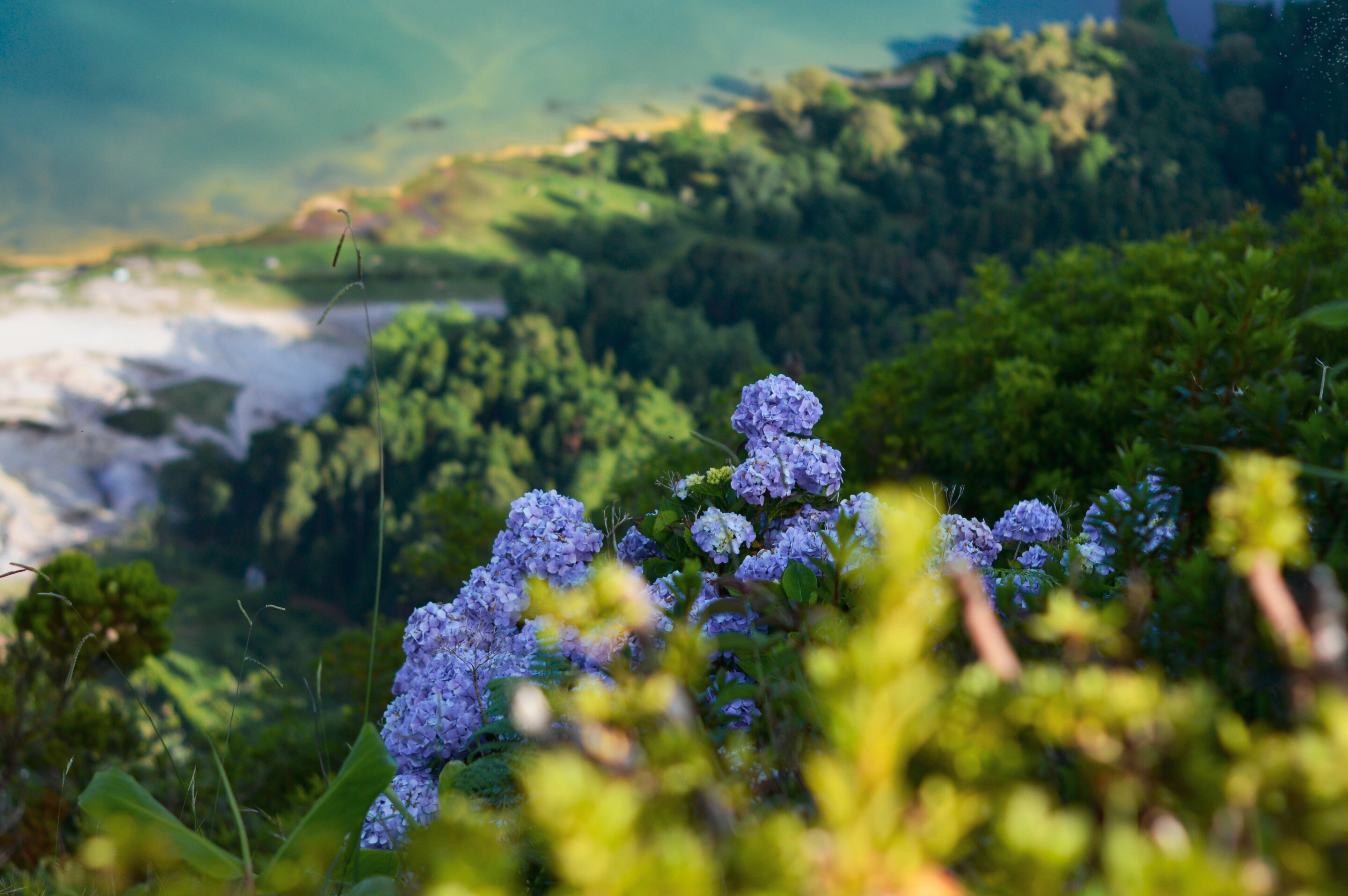 Grassroots Groups Protect 40% of Earth's Priority Lands