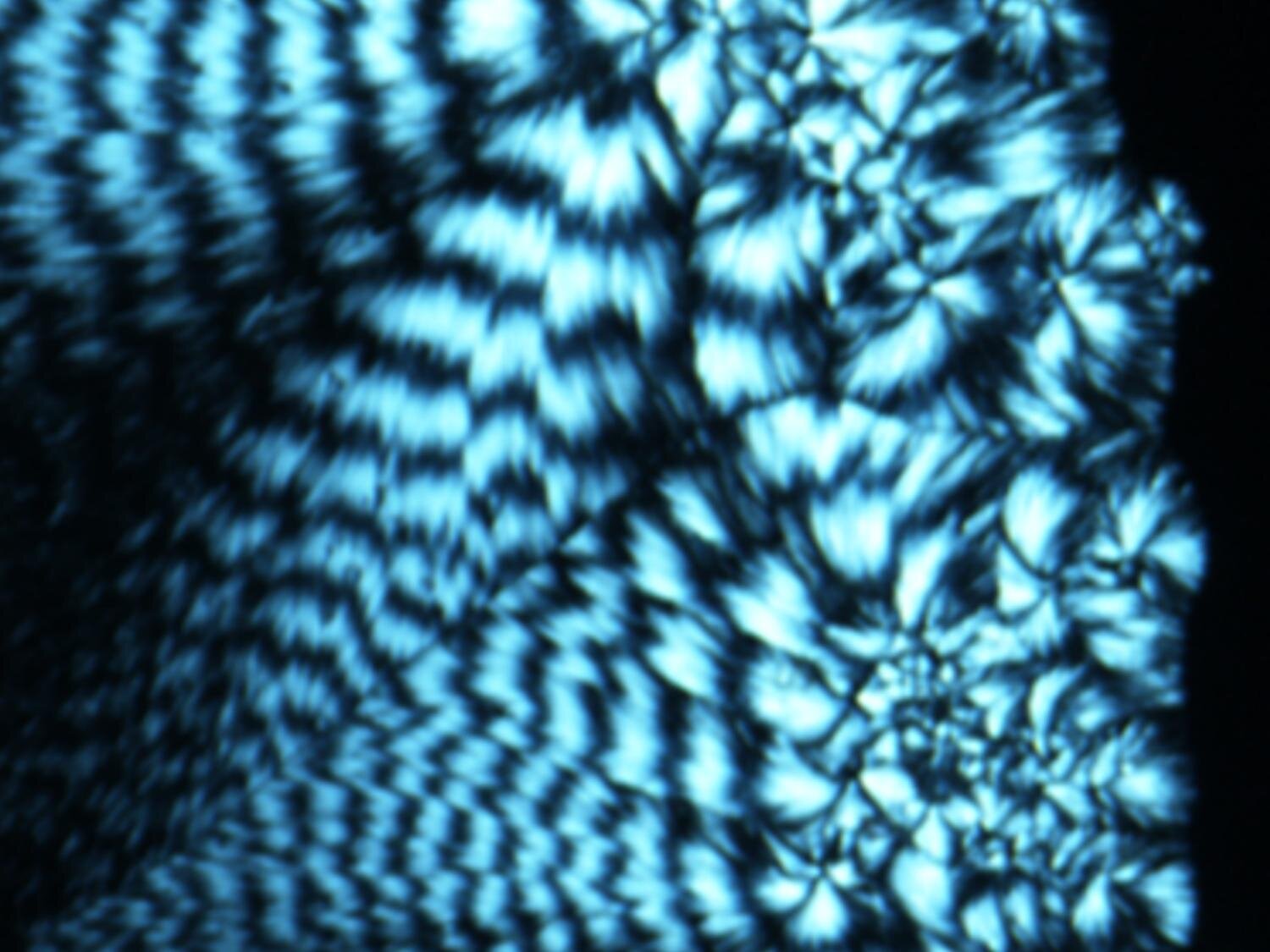DNA-Perovskite Device Cuts Storage Power Use by 100x