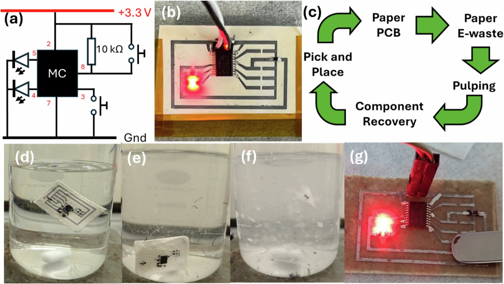 Biodegradable circuit board printed on eco-friendly material with zinc conductive traces in laboratory setting