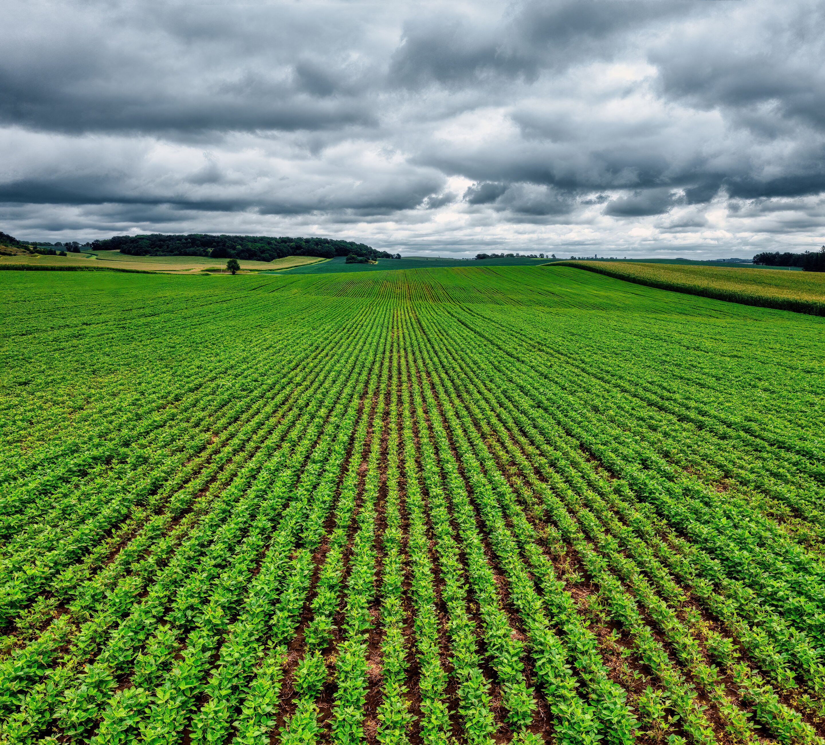 Spanish Researchers Make Farm Fertilizer from CO2 and Soil