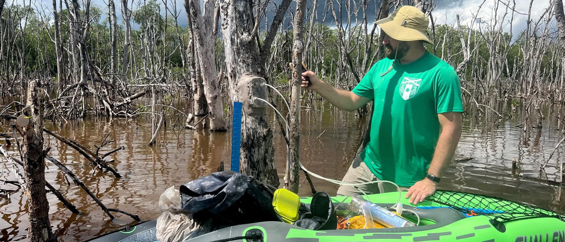 Everglades Carbon Capture Jumped 18% in Recent Study