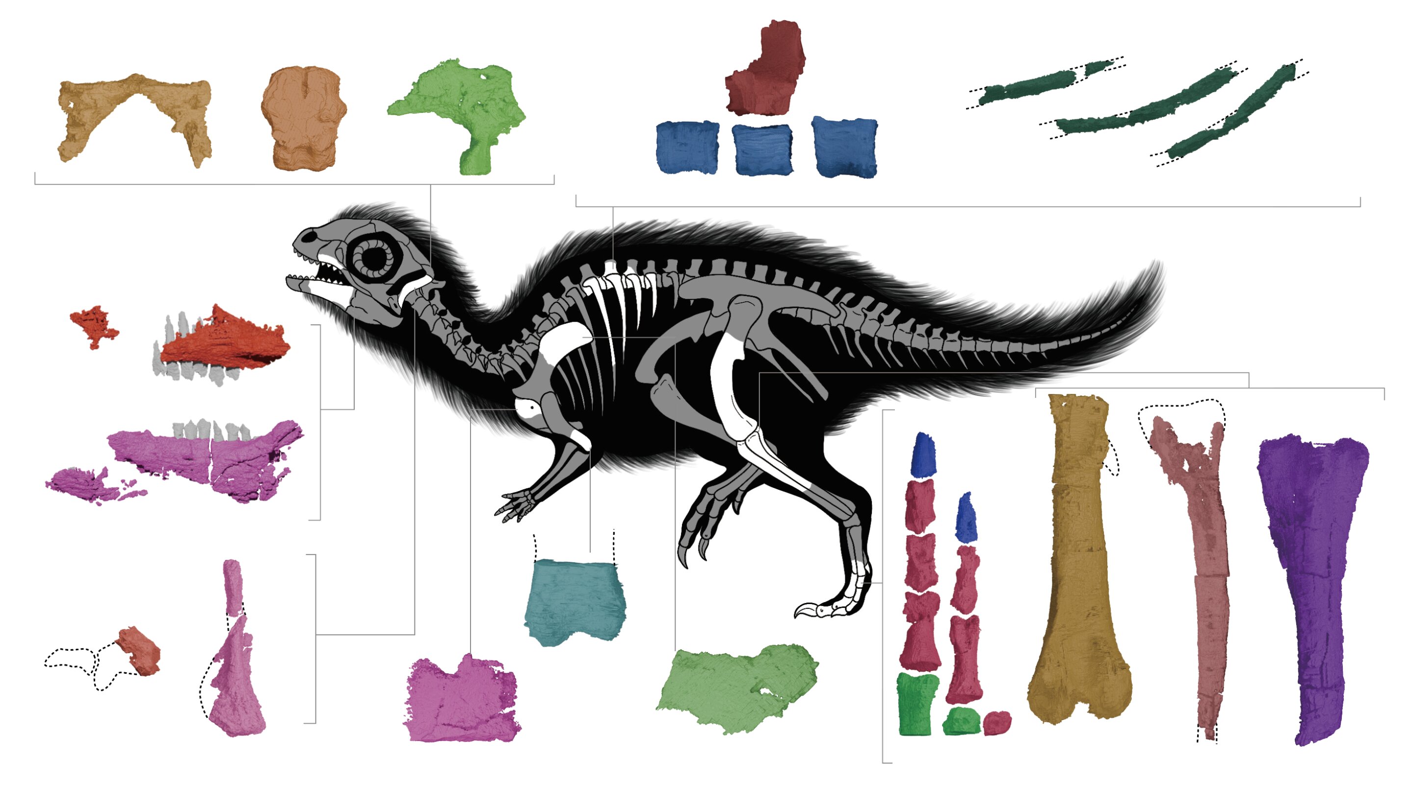 Baby Dinosaur Named After Beloved Korean Cartoon Character