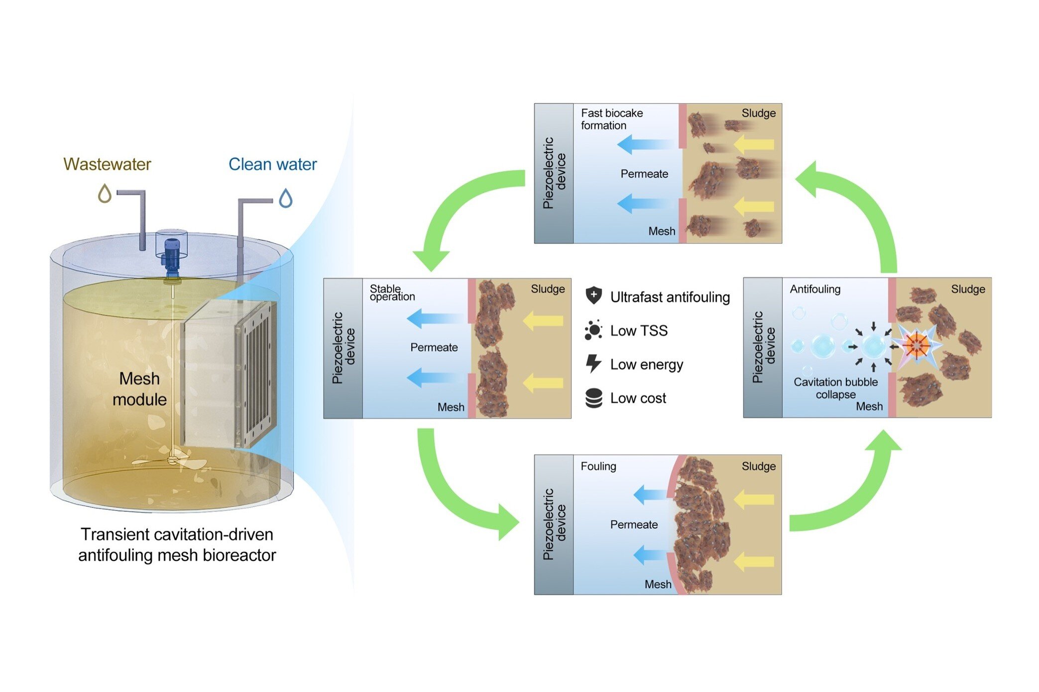 New Wastewater System Cuts Costs 50%, Boosts Efficiency 20x