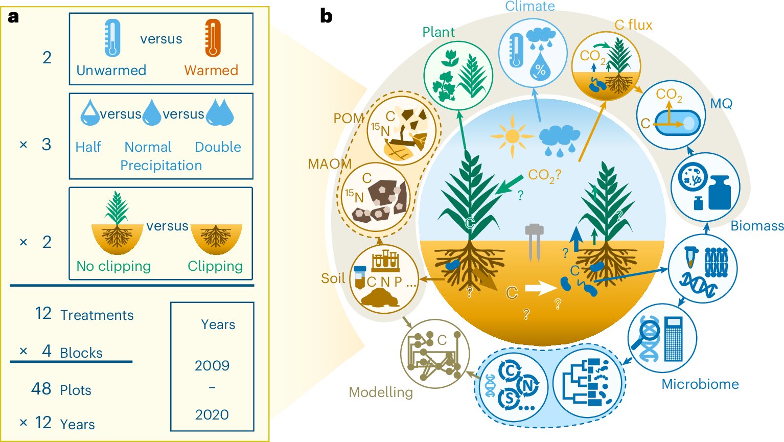 Wet Soil Could Be Our Secret Weapon Against Climate Change