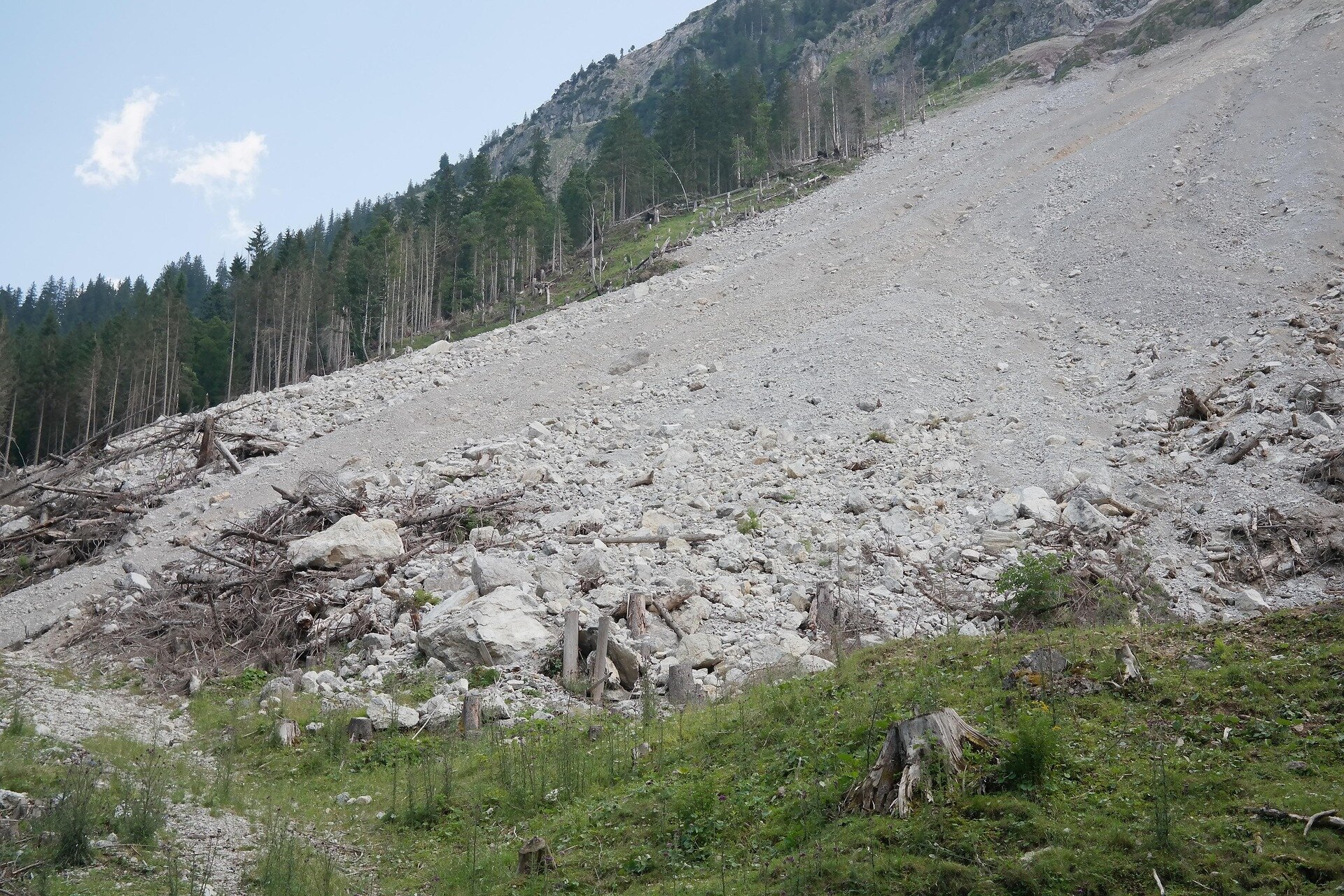 ** Aerial view of forested mountain slopes showing natural terrain and vegetation patterns