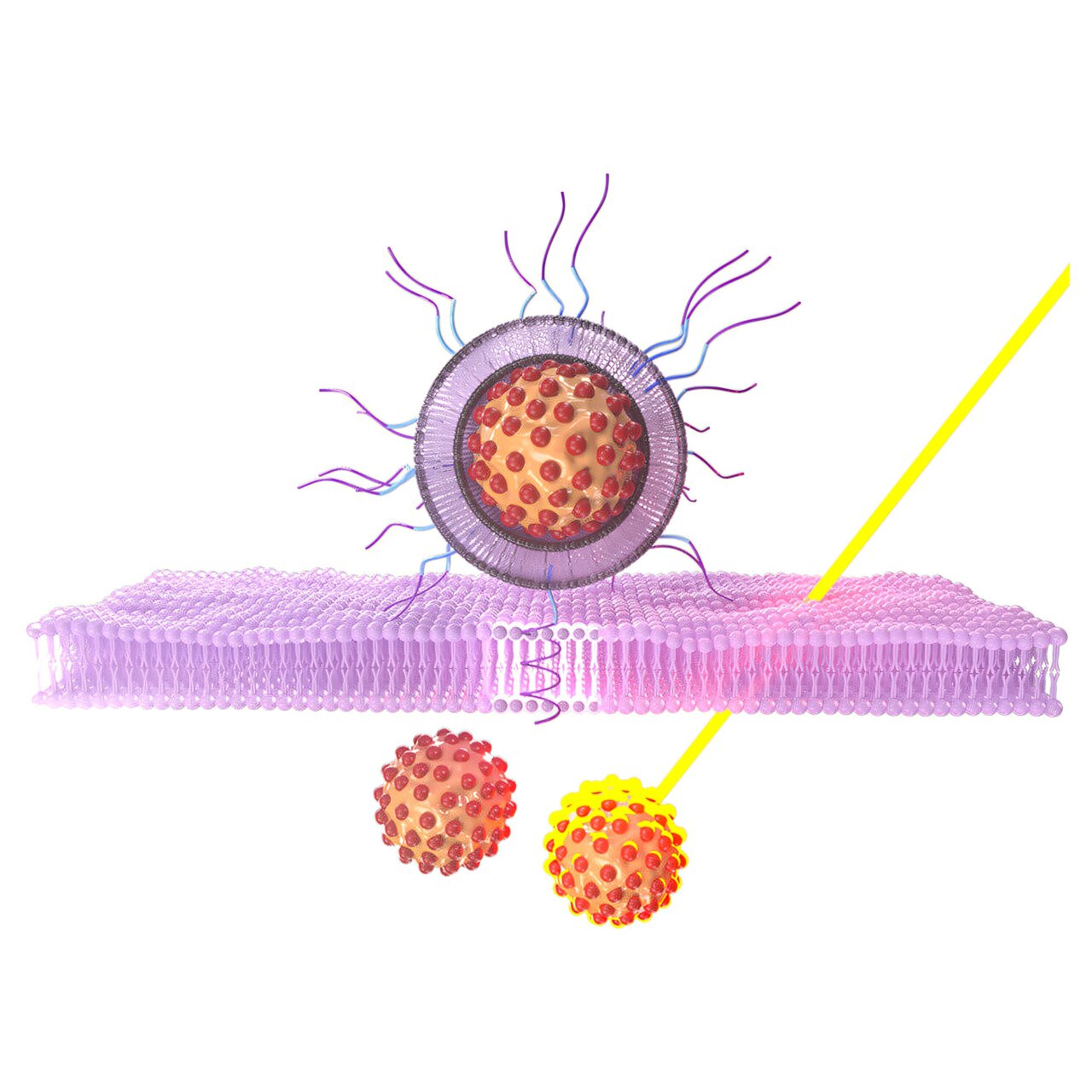 NYU Scientists Create Light-Activated Nanoparticles for Cancer