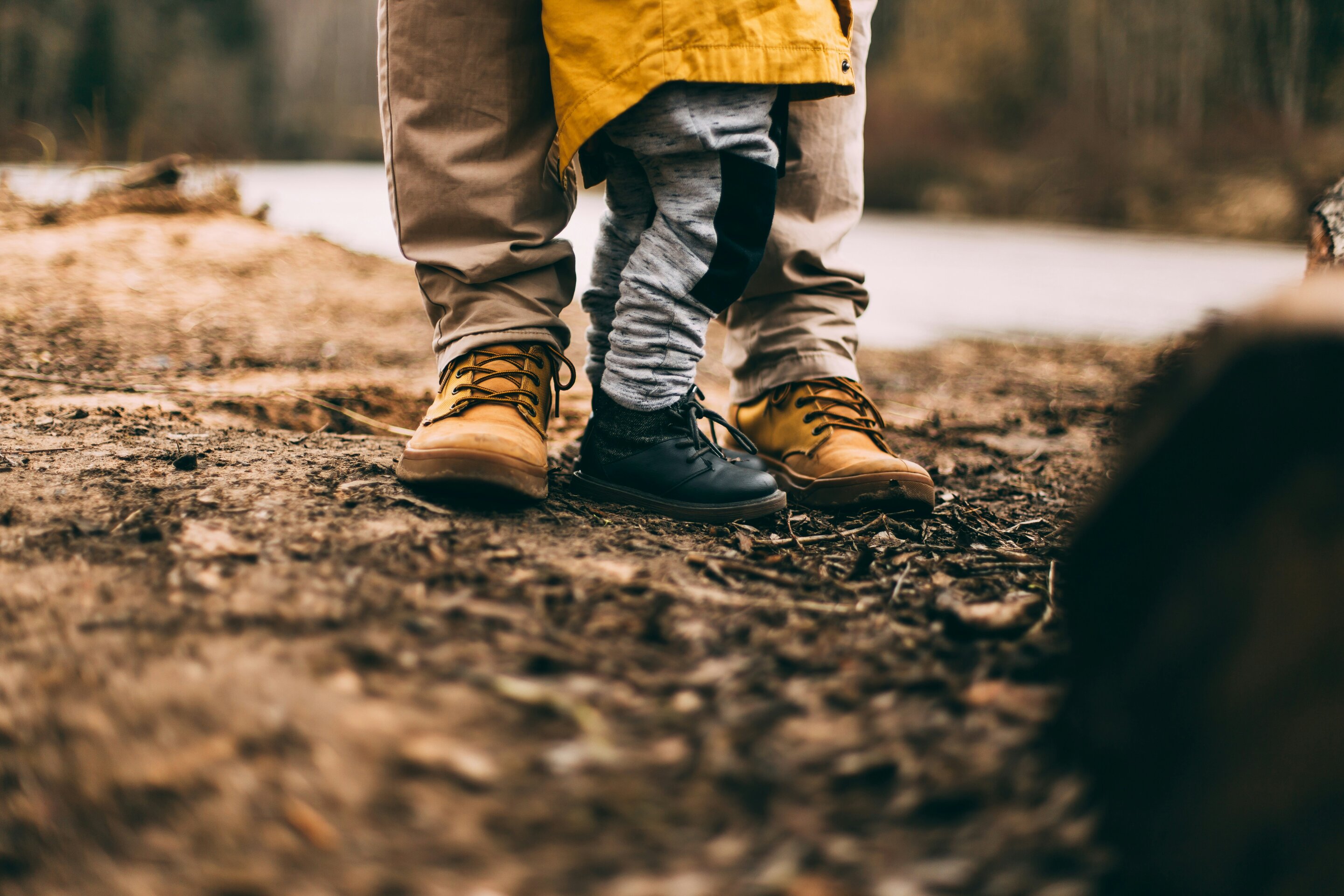 Kids Stay Home: Bird's Nest Parenting Cuts Divorce Stress