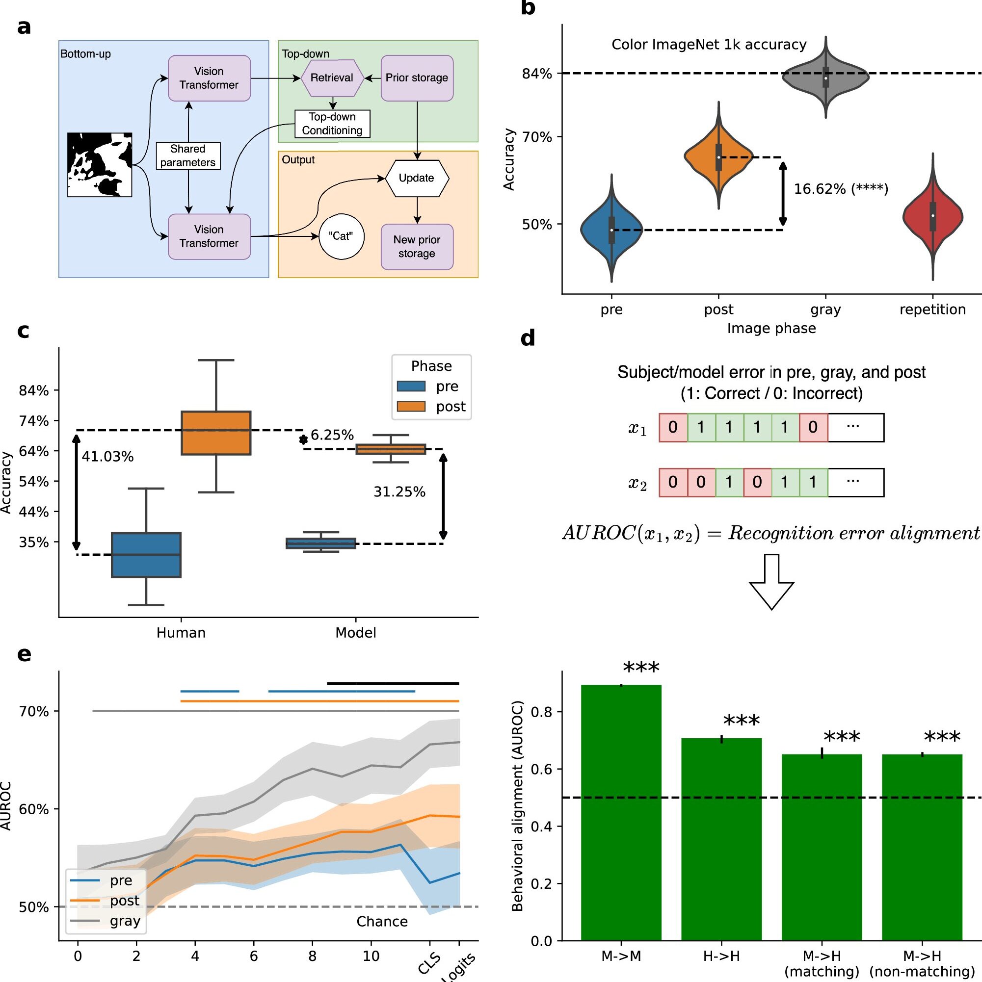 Brain scan showing highlighted high-level visual cortex region where recognition memories are stored
