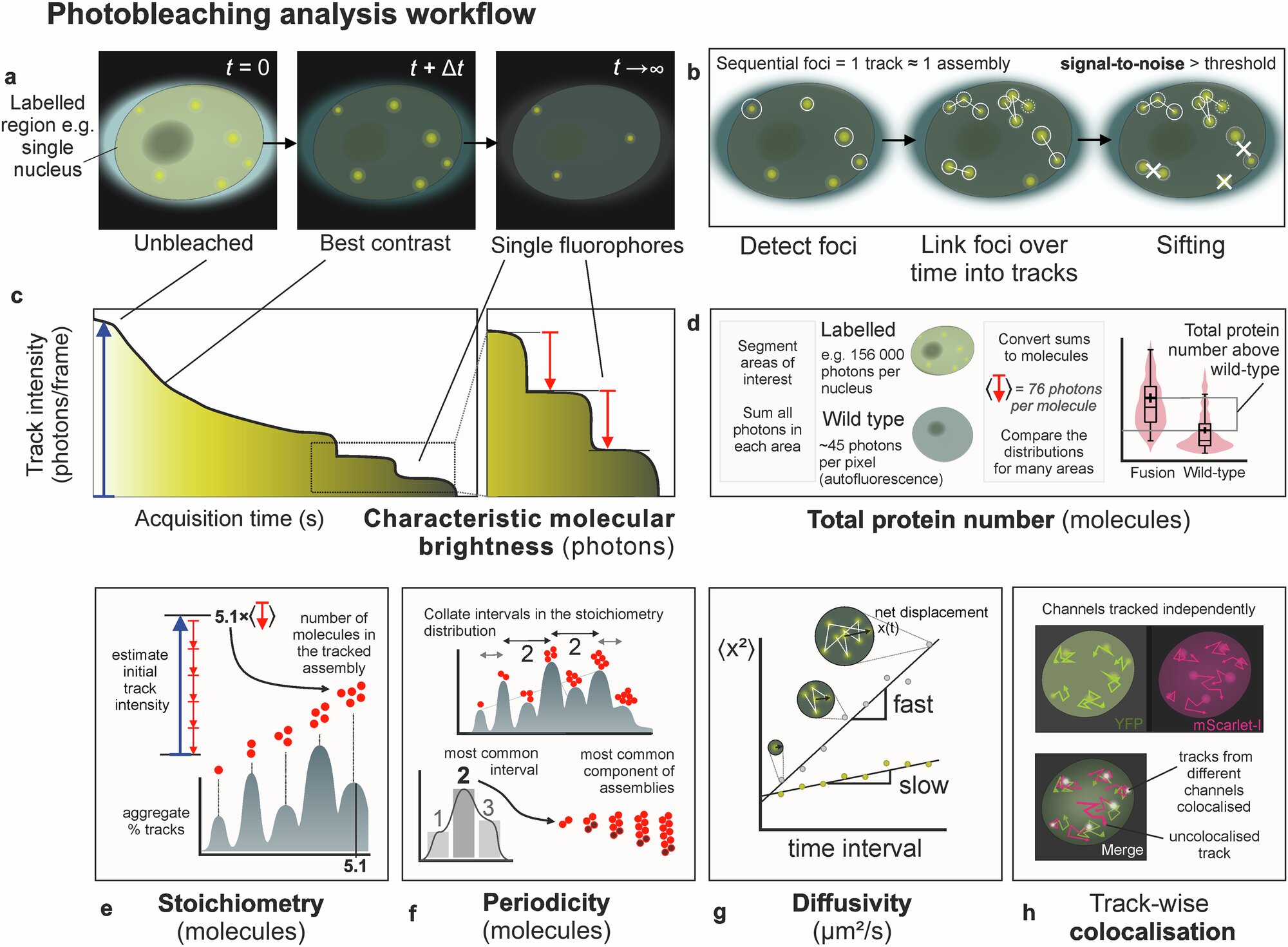Plants Store 'Winter Memory' in Tiny Molecular Clusters
