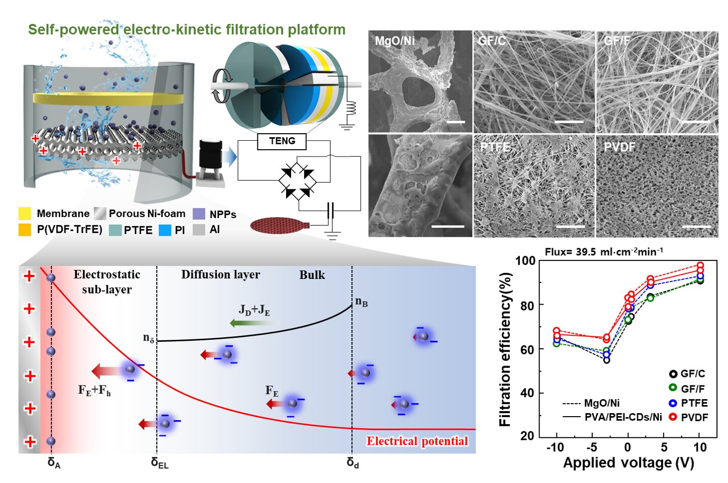 New Filter Removes 99% of Nanoplastics From Drinking Water