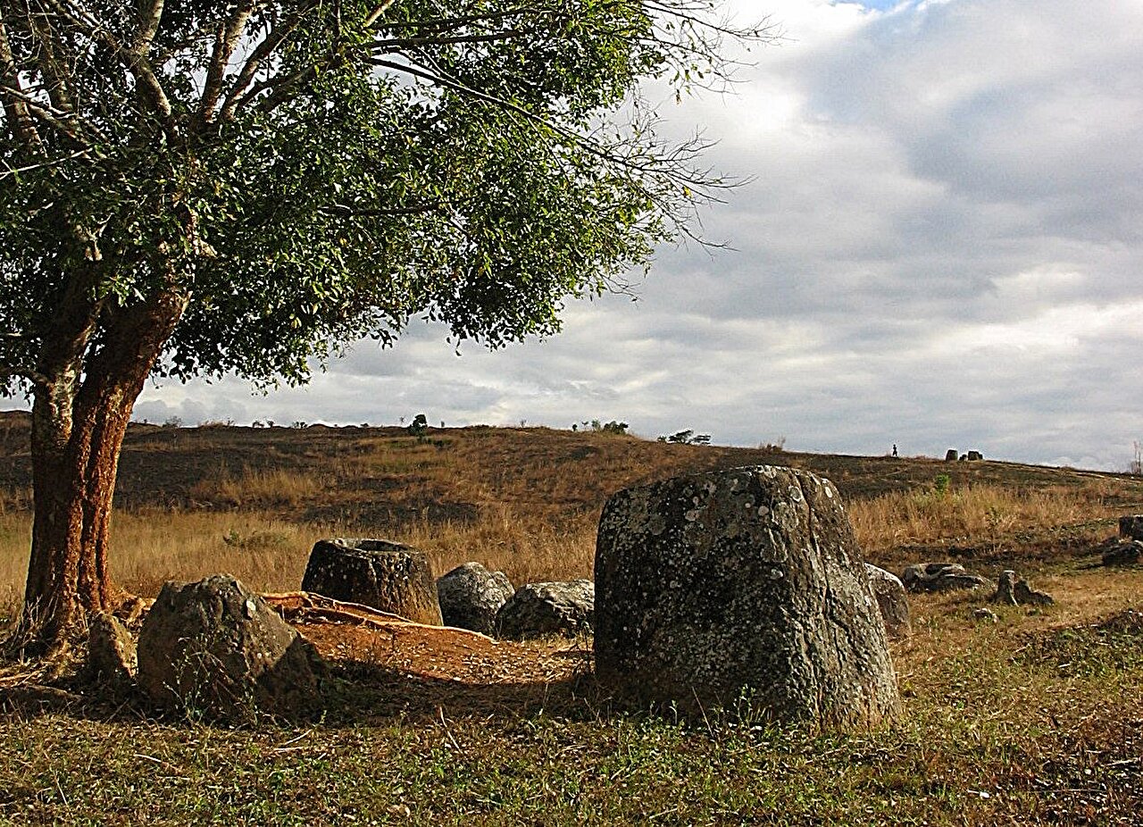2,000-Year-Old Jars Reveal How Forests Shape Water Life