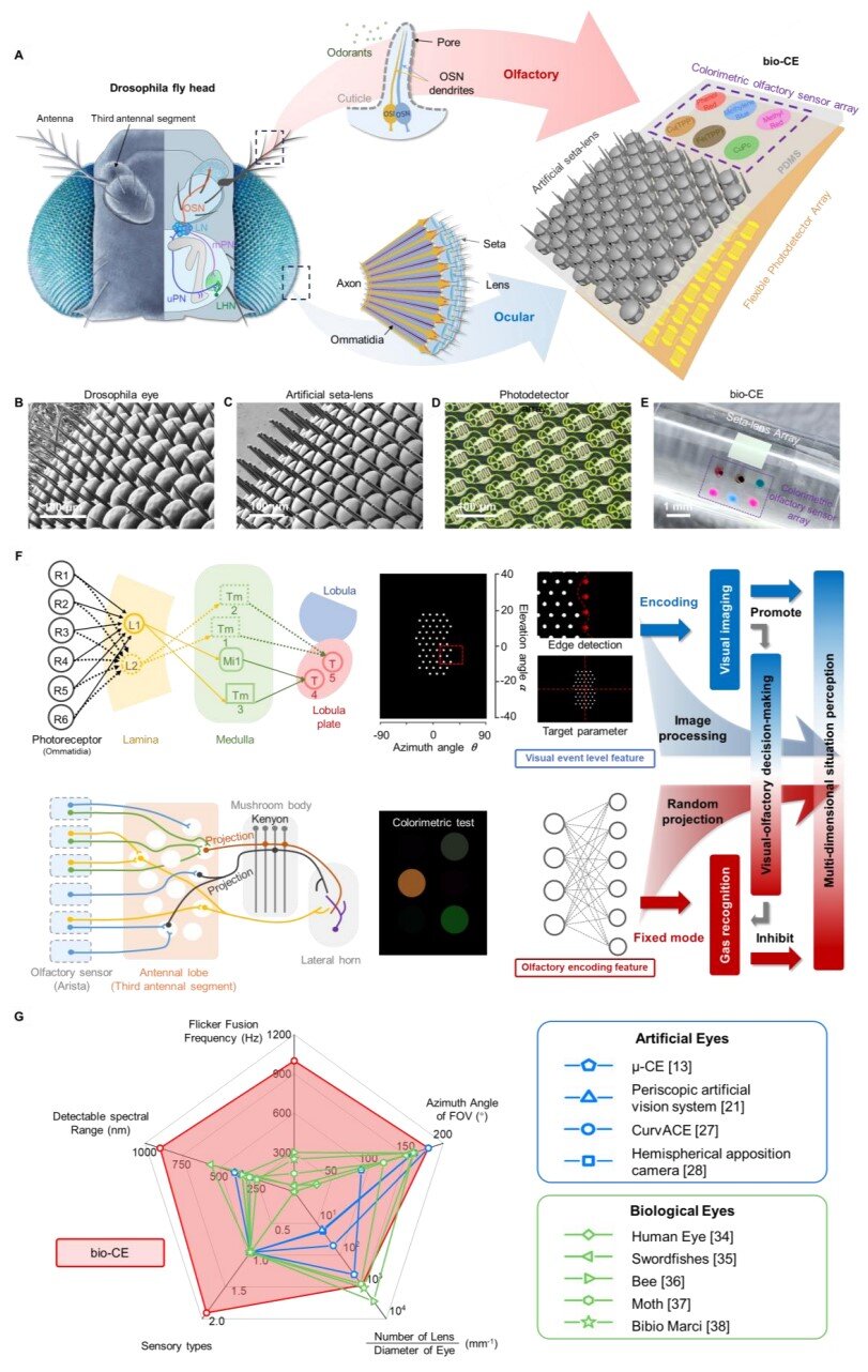 Close-up of tiny artificial compound eye with microscopic lenses mounted on robotic platform