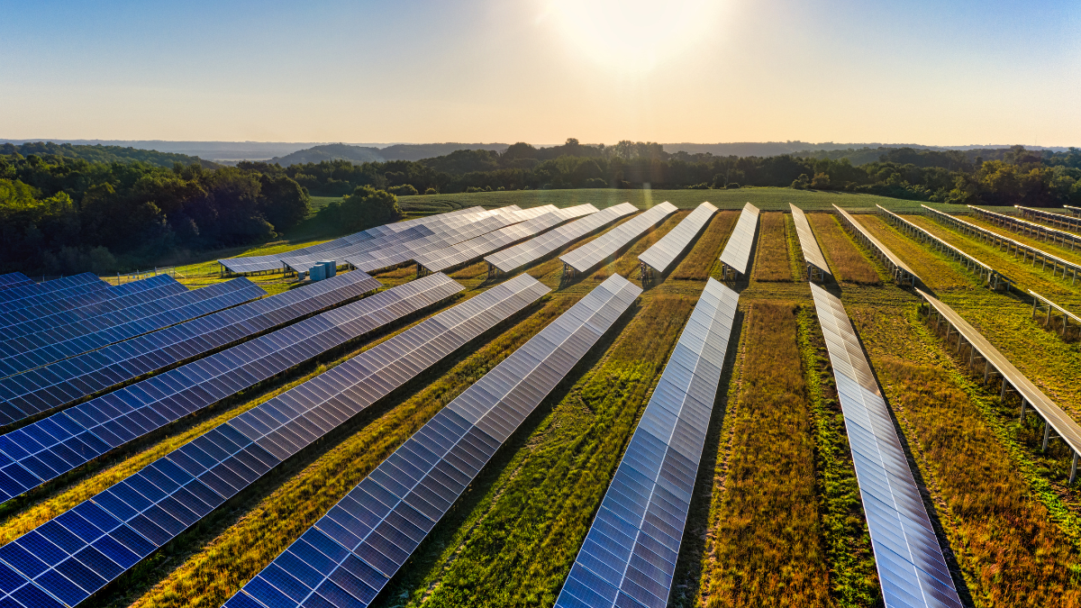 Large solar panel arrays stretching across open fields in northeastern Hungary under blue sky