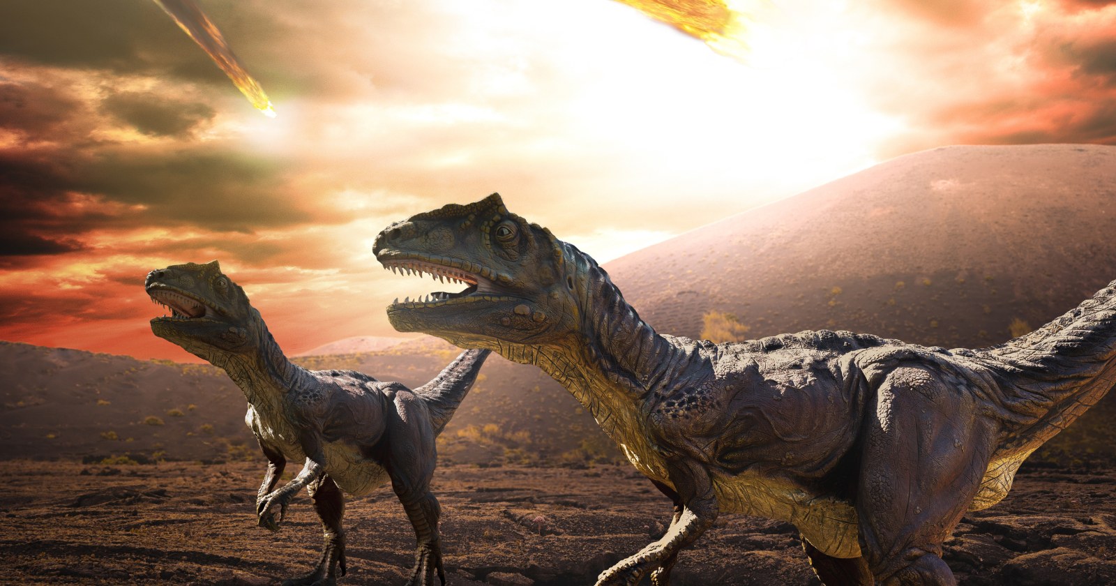 Scientists Find Fish That Breathed Asteroid Dust 66M Years Ago