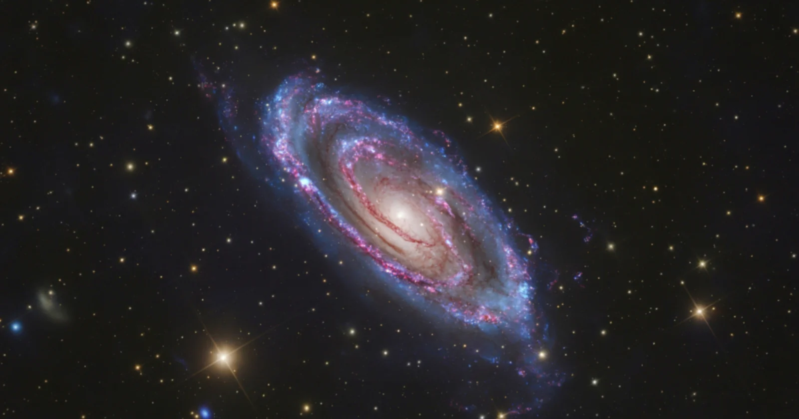 ** Collage of unusual galaxies and cosmic objects discovered by AI in Hubble telescope archives