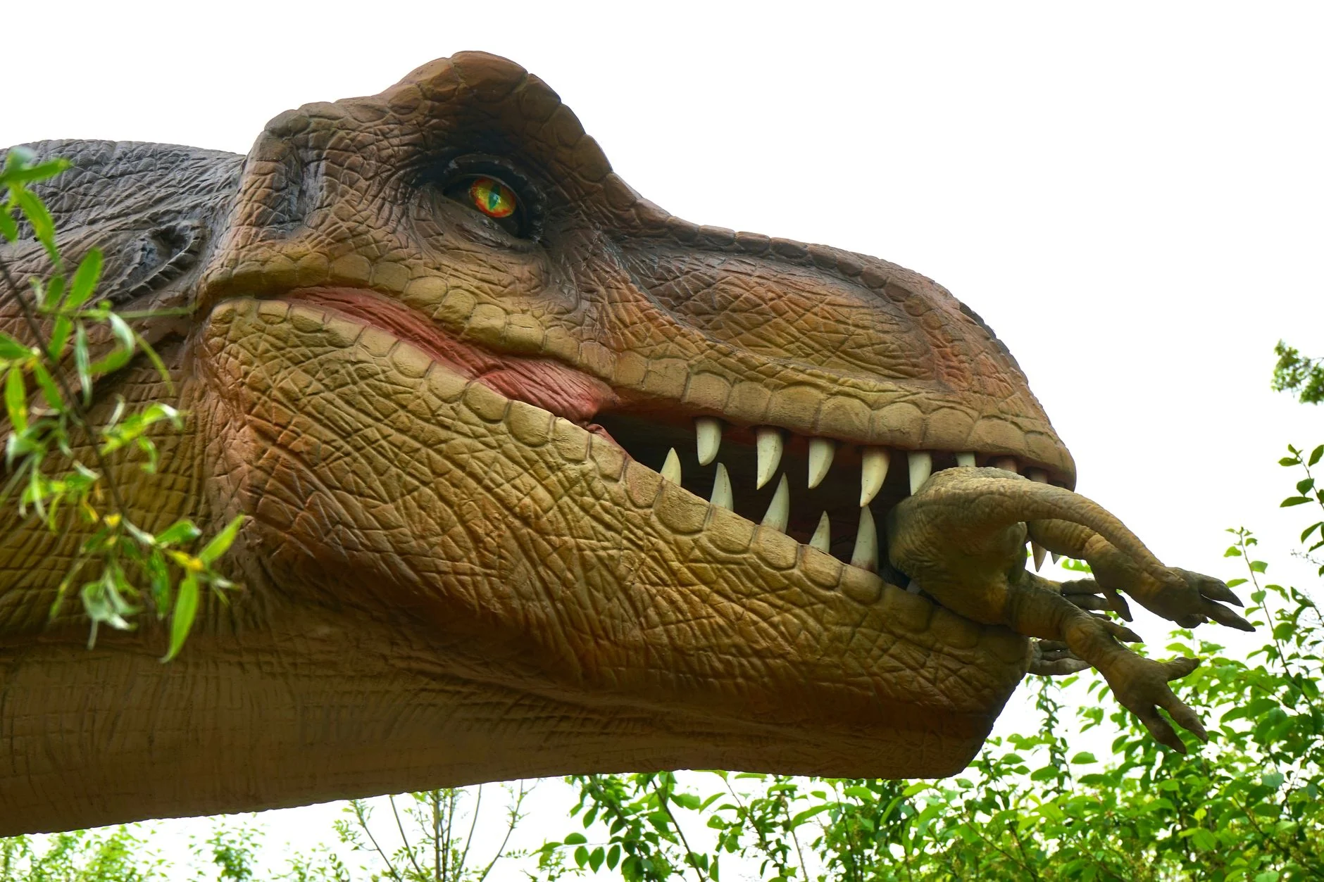 Dinosaurs Were Thriving When Asteroid Hit 66M Years Ago