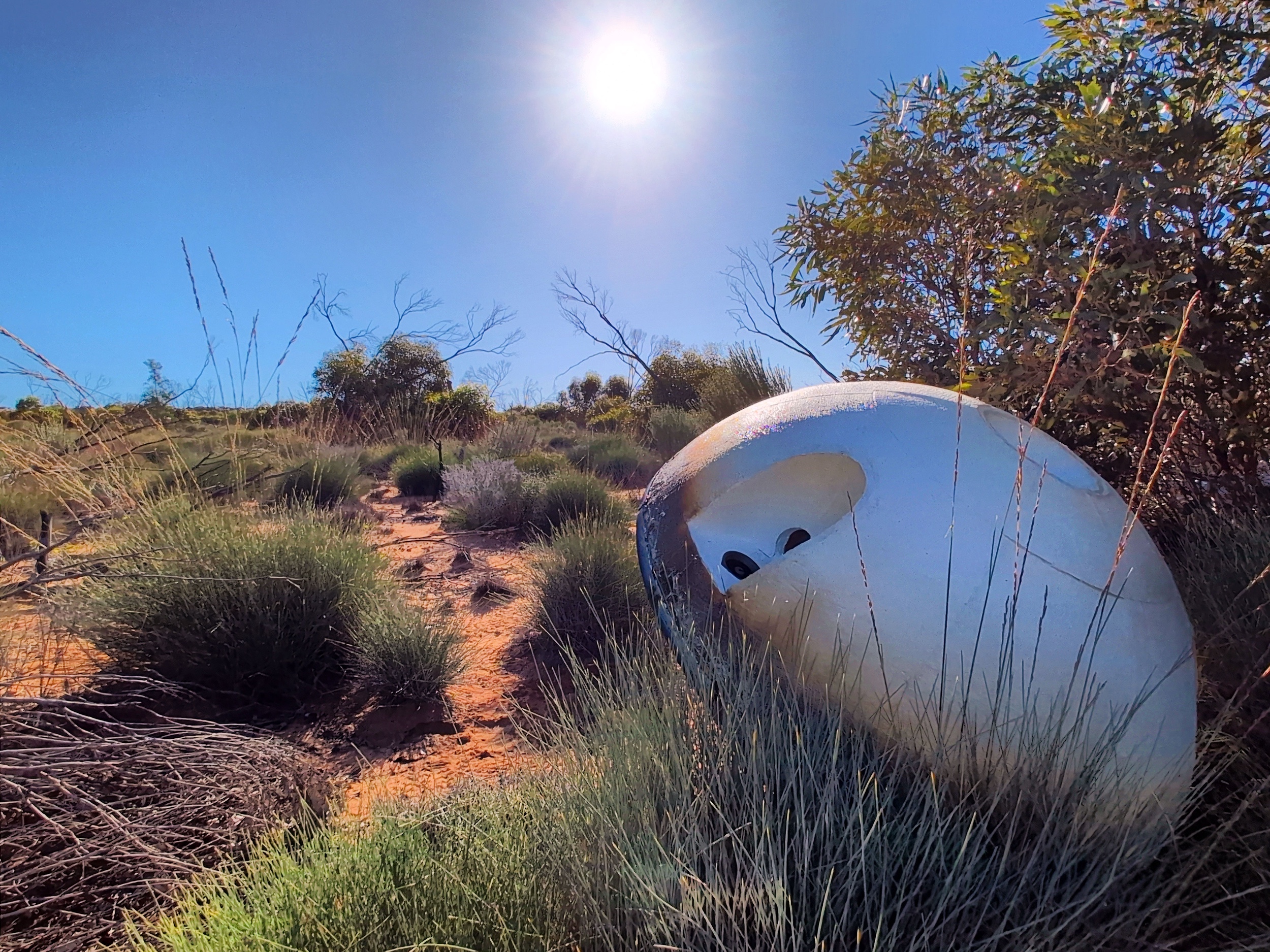 Startup Lands Sixth Space Capsule, Eyes 2030 Drug Milestone