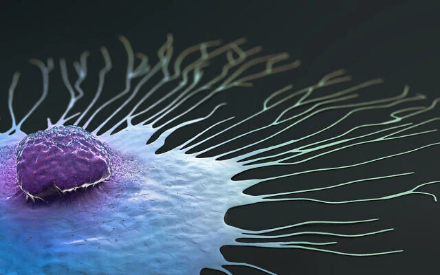 Drug-Free Nanoparticles Stop Aggressive Breast Cancer in Mice - Image 4