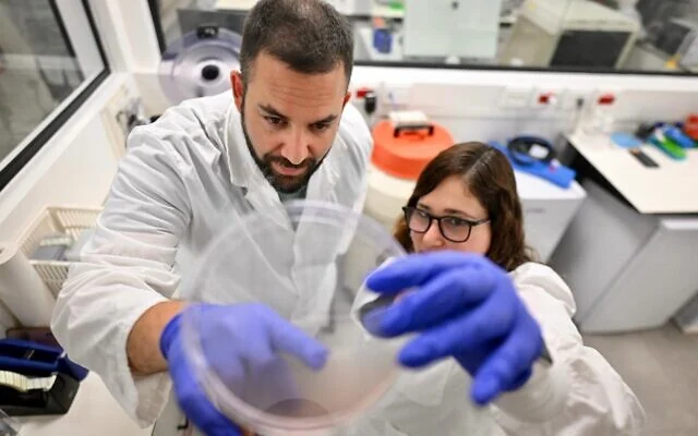 Drug-Free Nanoparticles Stop Aggressive Breast Cancer in Mice - Image 2