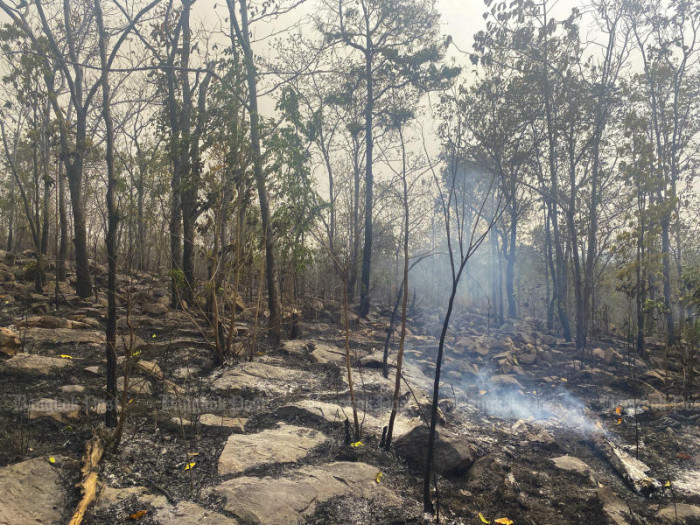 Thailand Cracks Down on Illegal Burning to Save Clear Skies