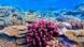 UK Ties Ecosystem Protection to National Security - Image 3